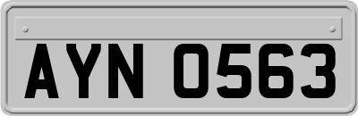 AYN0563