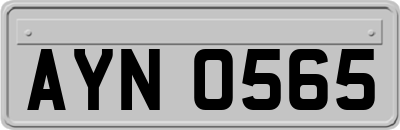 AYN0565