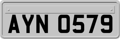 AYN0579