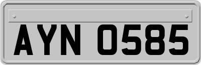 AYN0585