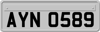 AYN0589