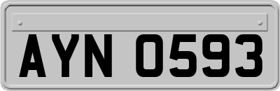 AYN0593