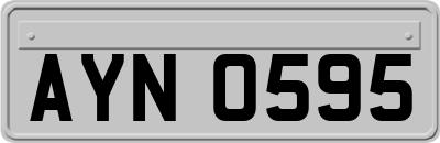 AYN0595