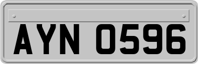 AYN0596