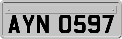 AYN0597