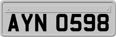 AYN0598