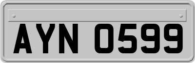AYN0599