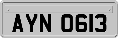 AYN0613