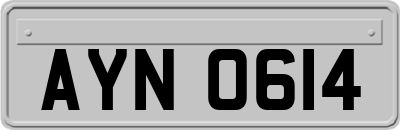 AYN0614