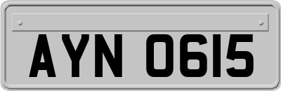 AYN0615