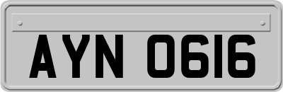 AYN0616