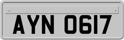 AYN0617