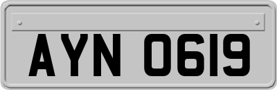 AYN0619