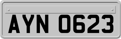 AYN0623