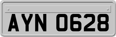 AYN0628