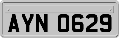 AYN0629