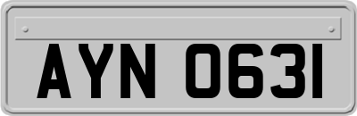 AYN0631