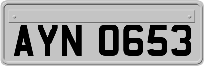 AYN0653