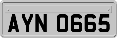 AYN0665