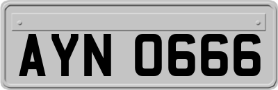 AYN0666