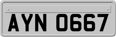 AYN0667