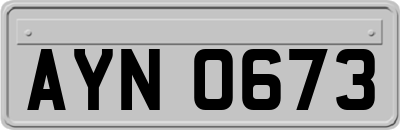 AYN0673