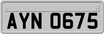 AYN0675