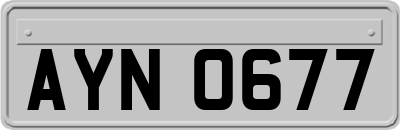 AYN0677