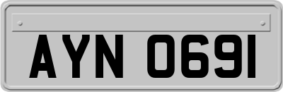 AYN0691