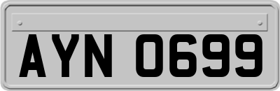 AYN0699
