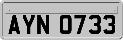 AYN0733