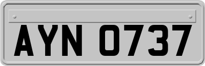 AYN0737