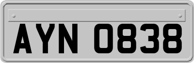 AYN0838