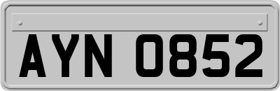 AYN0852