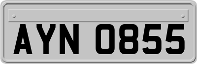 AYN0855