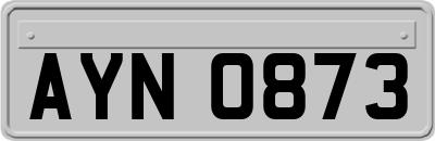 AYN0873