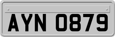 AYN0879