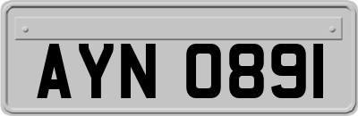 AYN0891