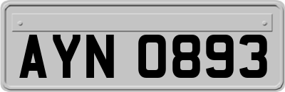 AYN0893
