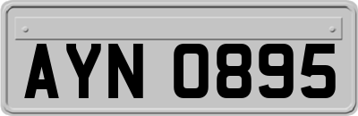 AYN0895