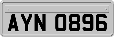 AYN0896