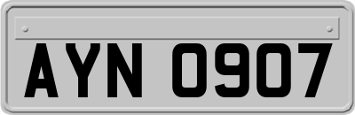 AYN0907