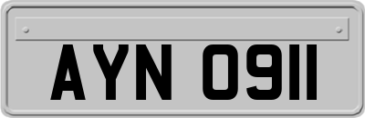 AYN0911