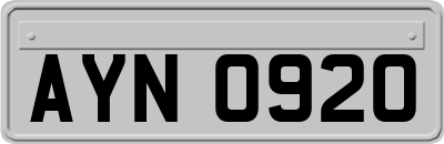 AYN0920