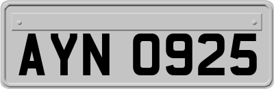 AYN0925