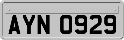 AYN0929