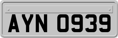 AYN0939