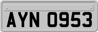 AYN0953