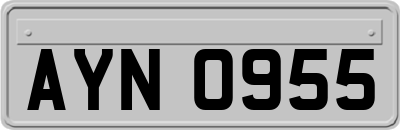 AYN0955