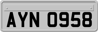 AYN0958